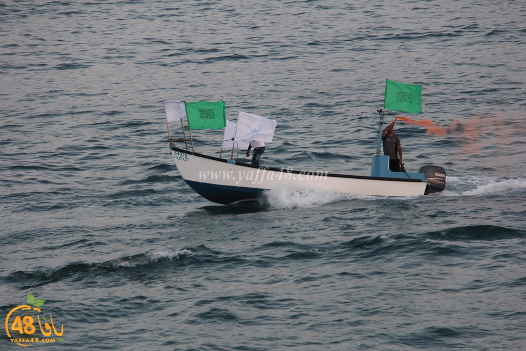 iste3rad sayaden yaffa (20).JPG